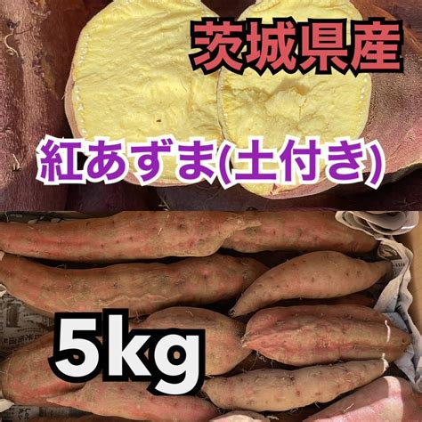 Yahooオークション 在庫わずか 茨城県産 紅あずま5kg（土付き）