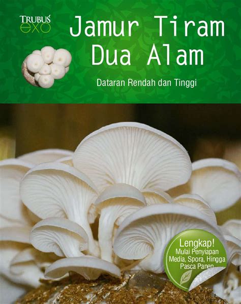 Cara Budidaya Jamur Tiram Buku Rekomendasi Best Seller Gramedia