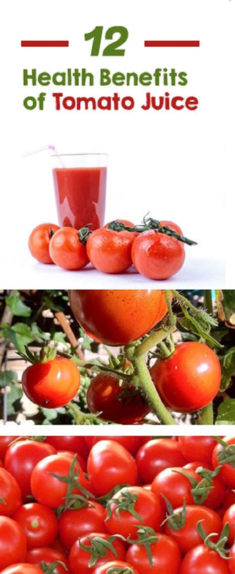 V8 Tomato Juice Nutrition Facts - Effective Health