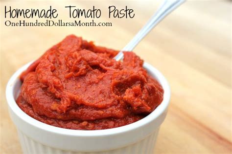 Homemade Tomato Paste Recipe One Hundred Dollars A Month