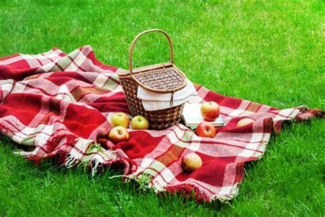 Picnic Rom Ntico Qu Comida Llevar Para Disfrutar De Una Velada