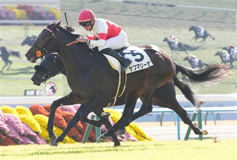 【京都新馬戦】サブマリーナ 鋭い決め手を発揮 岩田望「じっくり構えて追ってからの反応が良かった」― スポニチ Sponichi Annex ギャンブル