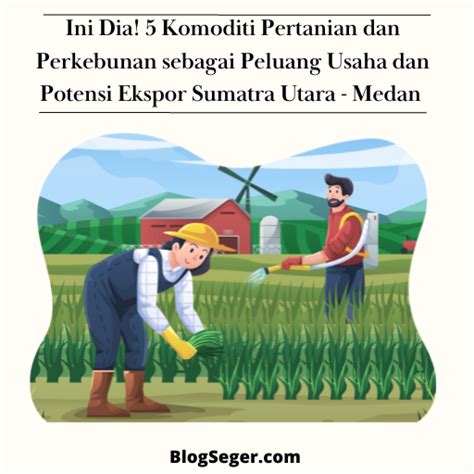 Ini Dia Komoditi Pertanian Dan Perkebunan Sebagai Peluang Usaha Dan