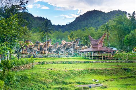 Menelusuri Keindahan Alam Dan Kekayaan Budaya Tanah Toraja Yang