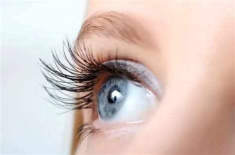 eyelashes stock  royalty  eyelashes images depositphotos