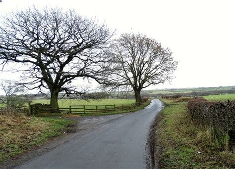 Winter Trees On Knitsley Lane Robert Graham Cc By Sa Geograph