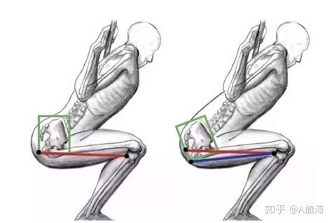 深蹲的基本要领 知乎