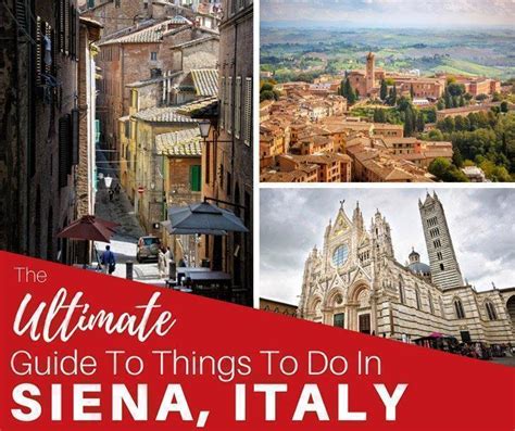 The Best Things To Do In Siena Italy CheeseWeb