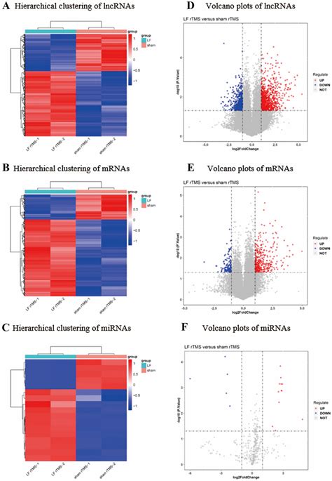 Hierarchical Clustering And Volcano Plots Of Dysregulated Mirna Mrna Download Scientific