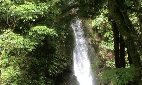 Katikati, New Zealand 2023: Best Places to Visit - Tripadvisor