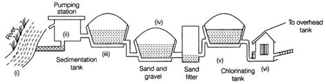 Chapter 18 Wastewater Story Class 7th Ncert Science Important