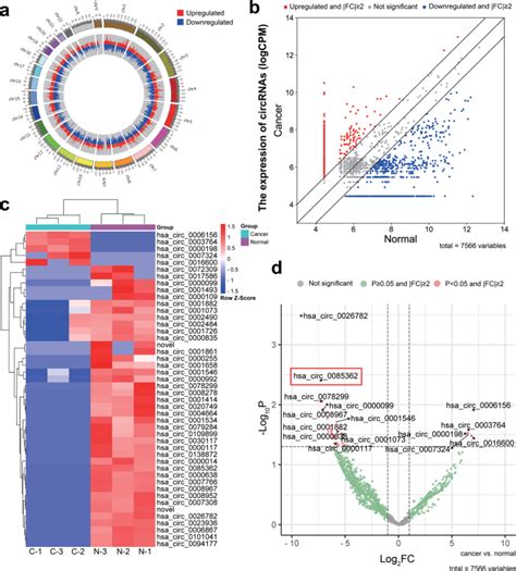 Circular Rna Circtrps1 2 Inhibits The Proliferation And Migration Of