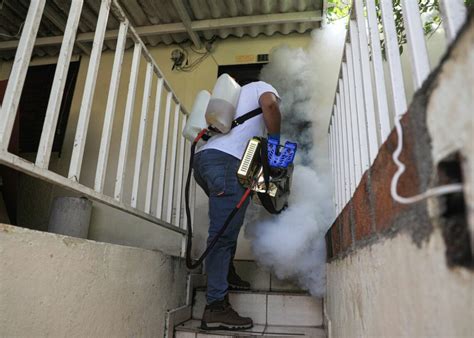 Autoridades No Bajan La Guardia Para Erradicar Al Zancudo Del Dengue