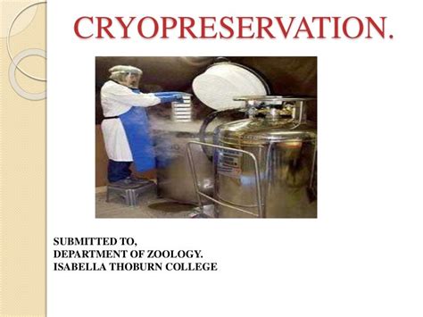 Cryopreservation