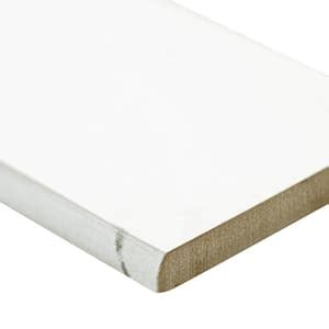 MSI Lismori Grigio Bullnose 3 In X 24 In Matte Ceramic Wall Tile 20