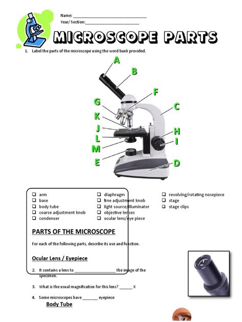 Microscope Parts Worksheet for 6th - 9th Grade | Lesson Planet ...