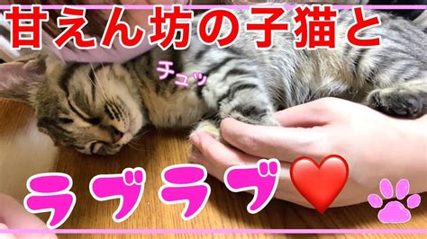 【保護子猫】甘えん坊のかわいい子猫とラブラブしてみた Rescue Kitten Cute Kitten And Love Love