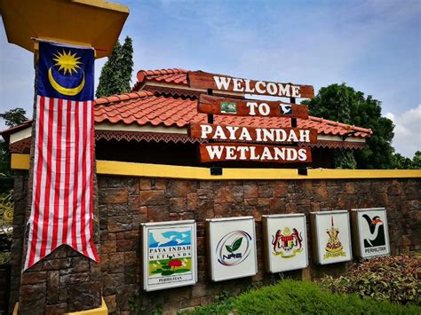 PAYA INDAH WETLANDS Review Aktiviti Dan Harga Tiket 2024