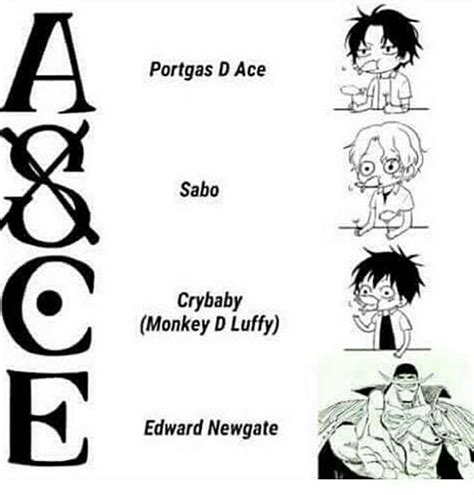 Ace’s tattoo meaning || One Piece | One piece zitate, Piraten zitate ...