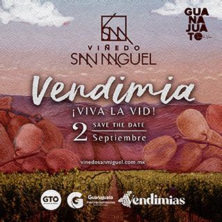 Vendimias Guanajuato Vive Grandes Historias