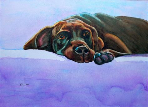 Watercolor Painting Of A Chocolate Lab Retriever By Rachel Armington