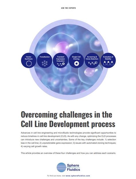 Cell Line Development process - Spectra Research Corporation