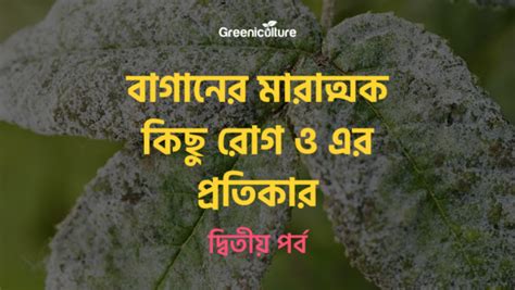 বাগানের মারাত্মক কিছু রোগ ও এর প্রতিকার দ্বিতীয় পর্ব Greeniculture