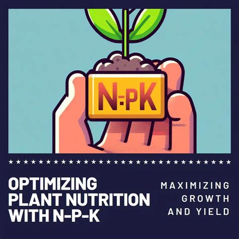 Npk Guide What Is It And Its Importance In Plant Nutrition