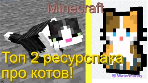 Обзор ЛУЧШИХ РЕСУРСПАКОВ НА КОТОВ Для МАЙНКРАФТА! | Minecraft ...