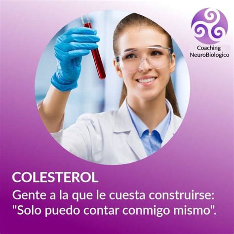 Colesterol Sanar Las Heridas Coaching De Salud Integral