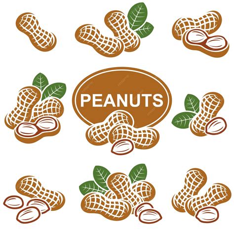 Premium Vector Peanuts Set Collection Icon Peanuts Vector