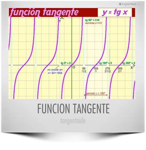 Calculo Tipos De Funciones