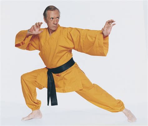 David Carradine -Kung Fu -Kwai Chang Caine | Martial arts, Kung fu, Martial