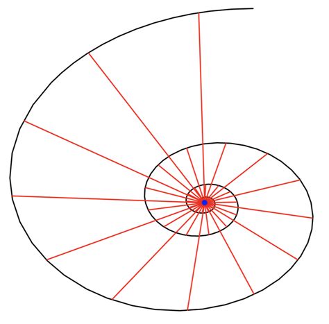 A Logarithmic Spiral Whose Skew Evolute Is A Single Point φ 85