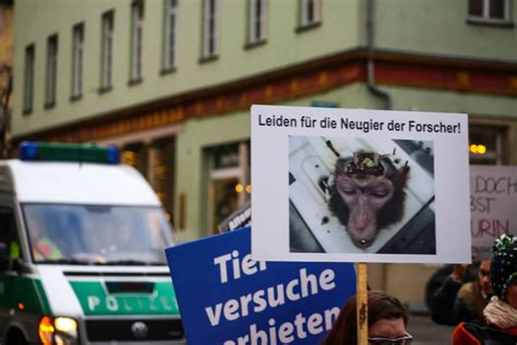 Demo Gegen Tierversuche In Tübingen Am 17122016 Partei Mensch