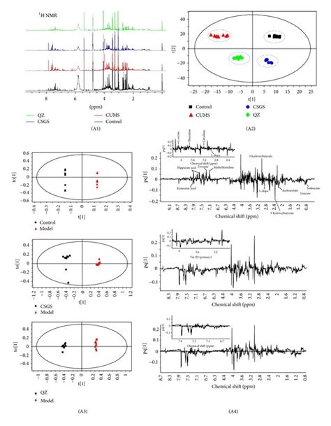 Mva Of Urine Samples From All Groups Detected By Nmr And Uplc Q Tof Ms