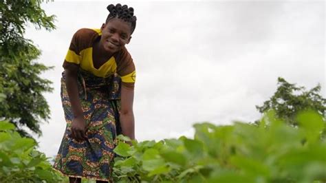 Fatinesis Future Farmers Boost Incomes And Expand Food Production In Malawi News Malawi