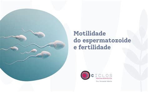 Motilidade Do Espermatozoide E Fertilidade