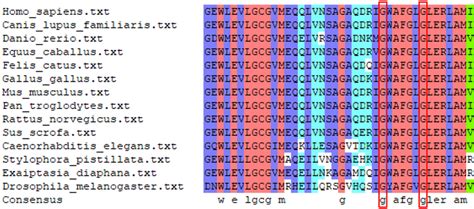 Protein Sequence Conservation Analysis Among Different Species The Red