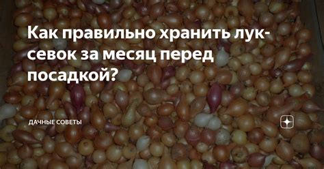 Как правильно хранить лук-севок за месяц перед посадкой? | Дачные ...