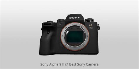 10 Best Sony Cameras For Photographers To Buy In 2023