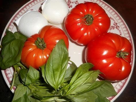 Recette De Tomates Mozzarella En Mille Feuilles