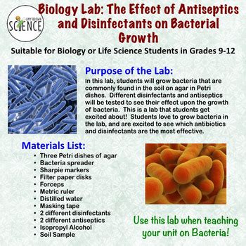 Effect Of Antiseptics And Disinfectants On Bacterial Growth Biology Lab