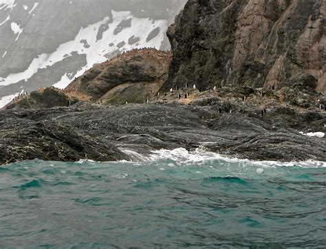 A Breath Of Fresh Air Waiting The Wind Elephant Island