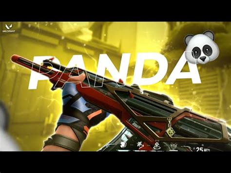 Panda Panda Valorant Montage Facecam Youtube