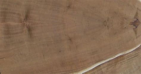 Acacia Wood Pros And Cons Timber Blogger