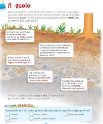 Risultati Immagini Per Scienze Il Suolo Scuola Primaria Scienza