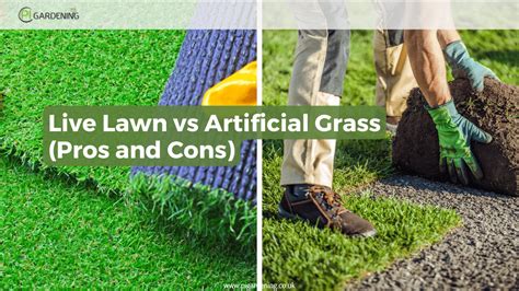 Live Lawn Vs Artificial Grass Pros And Cons PI Gardening