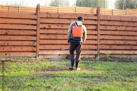 Man Sprays Grass With Herbicide Of A Knapsack Sprayer Stock Photo