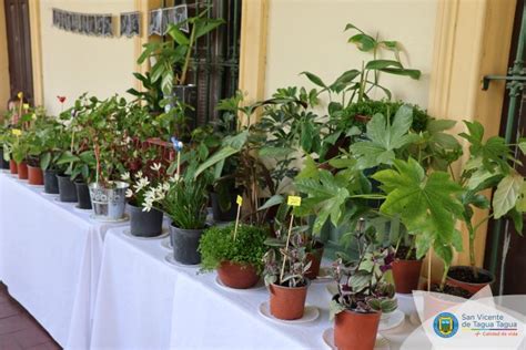 Feria De Flores Y Plantas Ya Est Funcionando En Cercan As Del Monstruo